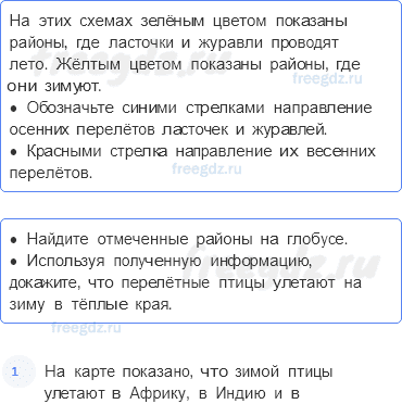 Часть 2 — Где зимуют птицы? — 2 - 0