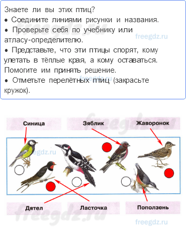 Часть 2 — Где зимуют птицы? — 1 - 0