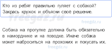 Часть 2 — Почему мы любим кошек и собак? — 1 - 0