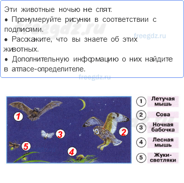 Часть 2 — Зачем мы спим ночью? — 2 - 0