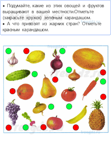 Часть 2 — Почему нужно есть много овощей и фруктов? — 1 - 0