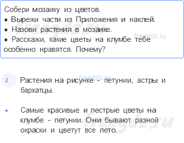 Часть 1 — Что растет на клумбе? — 3 - 0