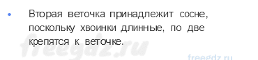 Часть 1 — Что такое хвоинки? — 3 - 1