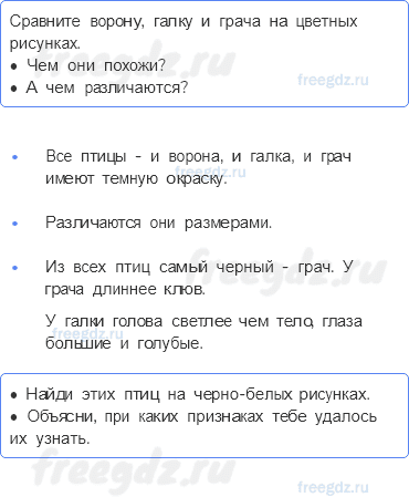 Часть 1 — Кто такие птицы? — 2 - 0
