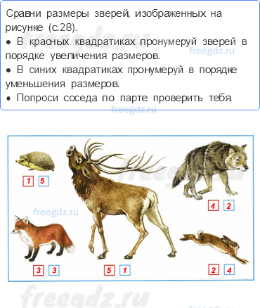 Часть 1 — Кто такие звери? — 3 - 0