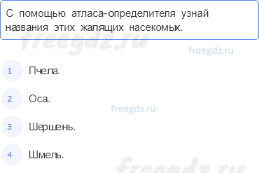 Часть 2 — На воде и в лесу — 3 — стр. 29 - 0