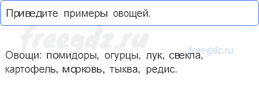 Часть 2 — Почему нужно есть много овощей и фруктов? — 1 - 0