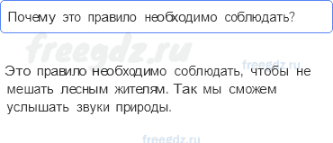Часть 2 — Почему в лесу мы будем соблюдать тишину? — 3 - 0