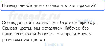 Часть 2 — Почему мы не будем рвать цветы и ловить бабочек? — 3 - 0
