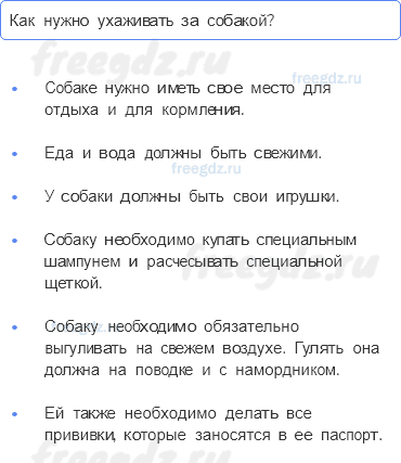 Часть 2 — Почему мы любим кошек и собак? — 3 - 0