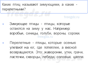 Часть 2 — Где зимуют птицы? — 1 - 0