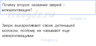Часть 1 — Кто такие звери? — 3 - 0