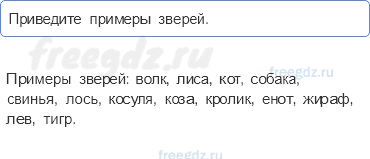 Часть 1 — Кто такие звери? — 4 - 0