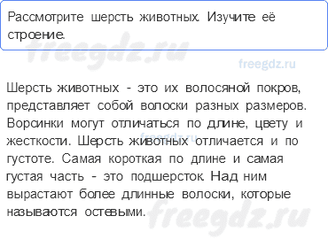 Часть 1 — Кто такие звери? — Практическая работа - 0