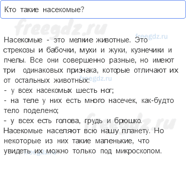 Часть 1 — Кто такие насекомые? — 1 - 0