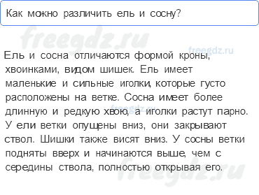 Часть 1 — Что такое хвоинки? — 4 - 0