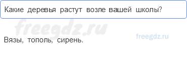 Часть 1 — Что это за листья? — 3 - 0