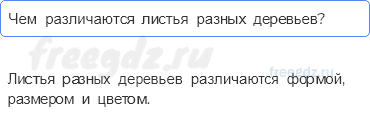 Часть 1 — Что это за листья? — 1 - 0
