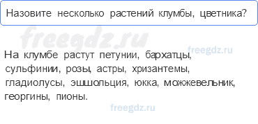 Часть 1 — Что растет на клумбе? — 2 - 0