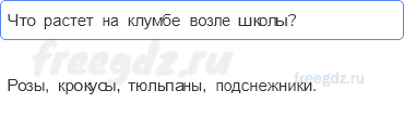 Часть 1 — Что растет на клумбе? — 1 - 0