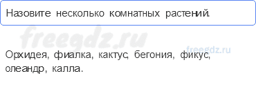 Часть 1 — Что растет на подоконнике? — 2 - 0
