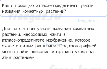Часть 1 — Что растет на подоконнике? — 3 - 0