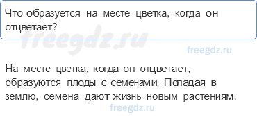 Часть 1 — Что общего у разных растений? — 4 - 0