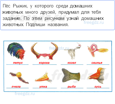 Чему учит экономика — Животноводство — 4 - 0