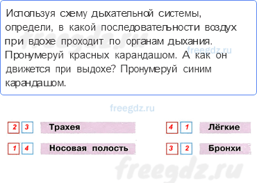 Мы и наше здоровье — Дыхание и кровообращение — 2 - 0