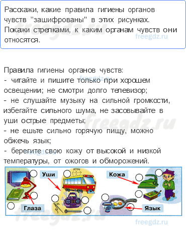 Мы и наше здоровье — Органы чувств — 3 - 0