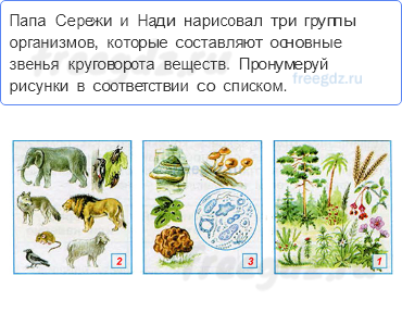 Эта удивительная природа — Великий круговорот жизни — 1 - 0
