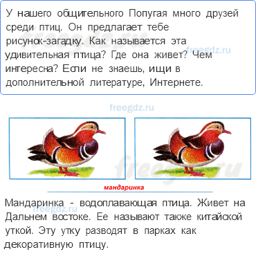 Эта удивительная природа — Охрана животных — 4 - 0