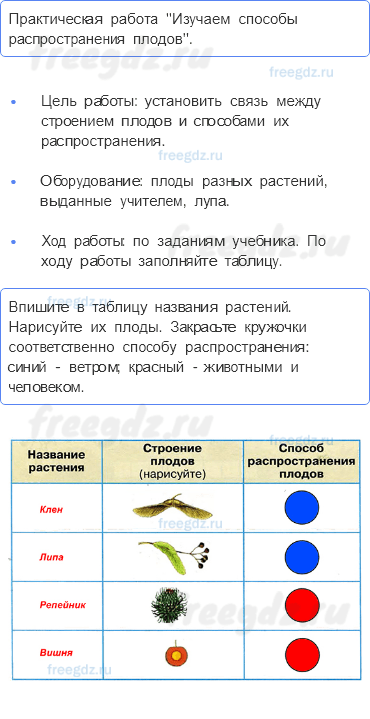 Эта удивительная природа — Размножение и развитие растений — 3 - 0