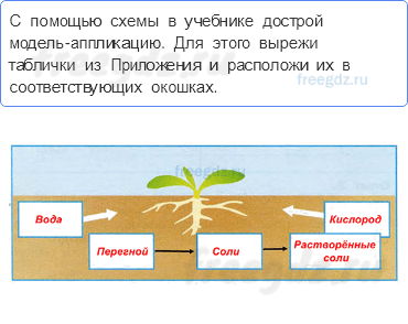 Эта удивительная природа — Что такое почва — 5 - 0