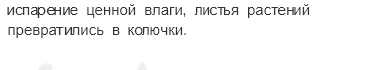Географическая оболочка — § 52. Природные зоны Земли — 5 — стр. 173 - 2