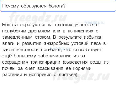 Гидросфера — водная оболочка Земли — § 35. Озёра и болота — 6 — стр. 118 - 0