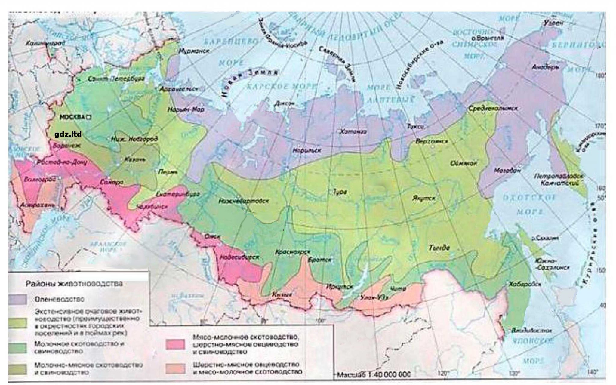 Карта районов россии 9 класс география