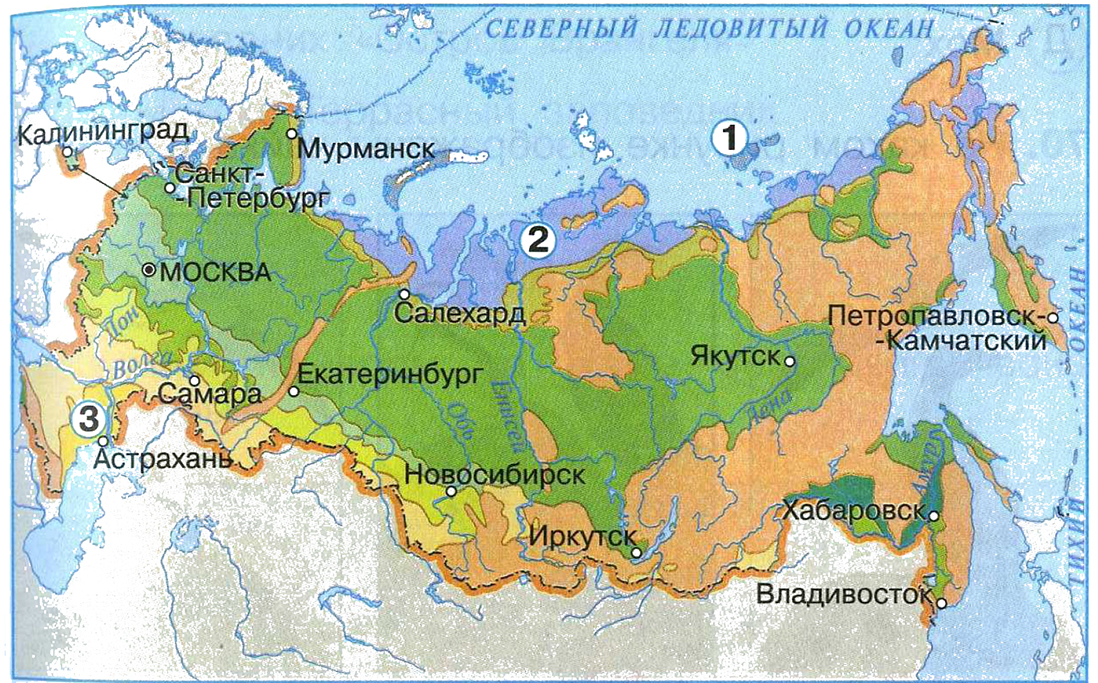 Проверочная работа арктические пустыни тундра 8 класс