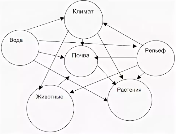 Покажите параграфе. Взаимосвязь компонентов природного комплекса схема. Составьте схему взаимосвязь природных компонентов. 1. Составьте схему «взаимосвязь природных компонентов»:. Схема взаимосвязей между компонентами природного комплекса.