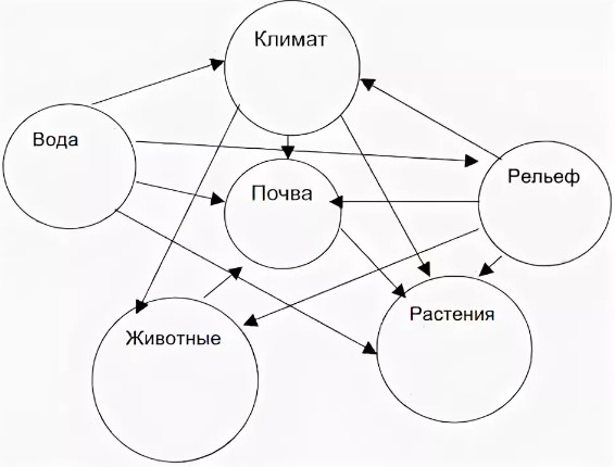 План характеристики природного комплекса 6 класс